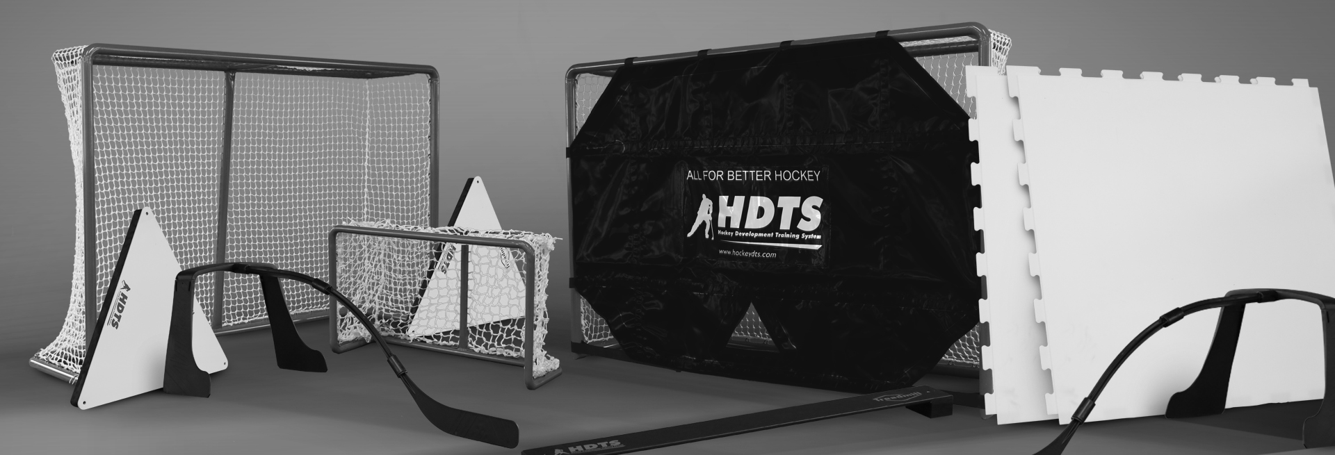 хоккейное тренировочное оборудование- синтетический лед, хоккейные ворота, пасеры