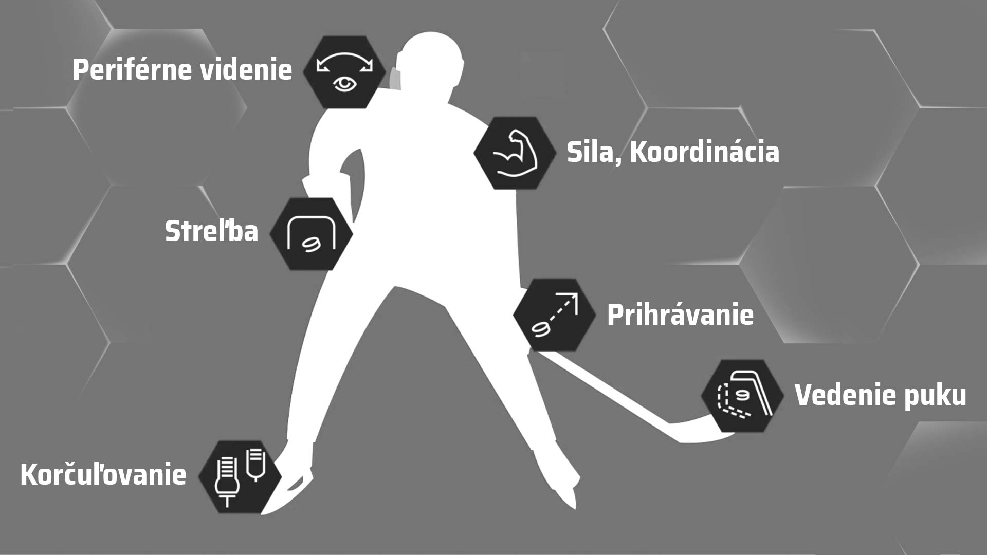 hokejové zručnosti na zlepšenie v hokejovom tréningovom zariadení