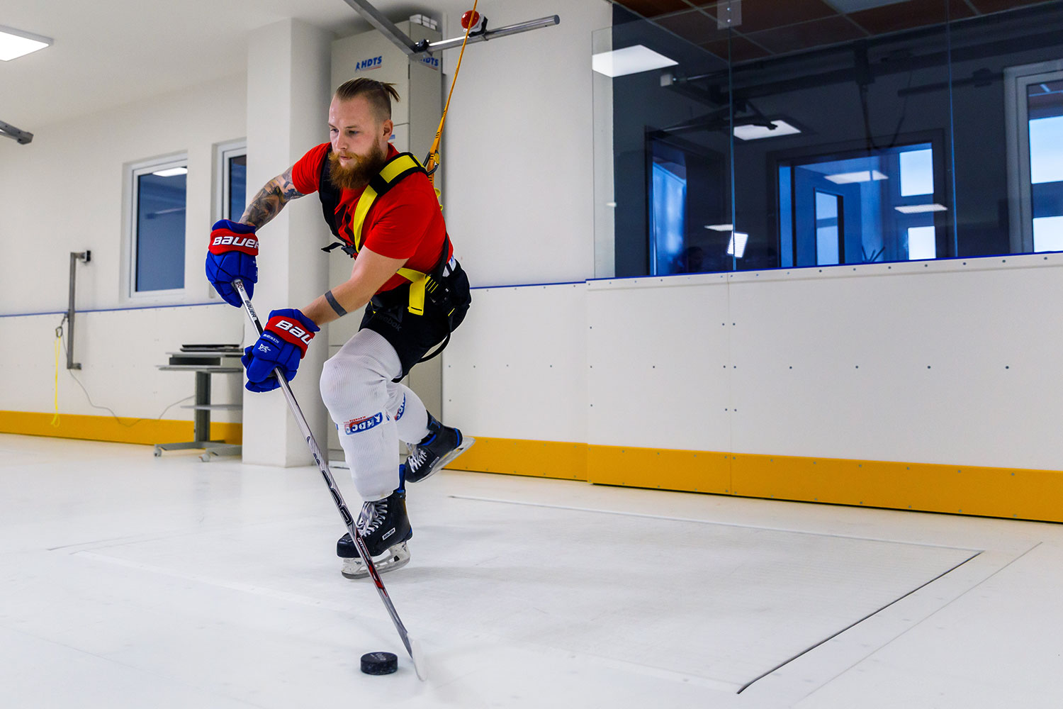 The first HDTS hockey center in Hungary